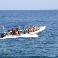 Dream Adventures Boat Trip